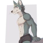  1:1 2023 5_fingers anthro beastars bezzeroo biceps black_clothing black_nose black_underwear canid canine canis clothed clothing digital_media_(artwork) fingers fur grin hi_res legoshi_(beastars) male mammal muscular muscular_anthro muscular_male shaded simple_background smile standing tail topless underwear underwear_only wolf 