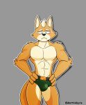  abs anthro belt blush bodily_fluids bulge canid canine clothing embarrassed fox fox_mccloud frown fur grey_background hi_res looking_down male mammal mattvalkyrie muscular muscular_anthro muscular_male nintendo orange_body orange_fur pecs simple_background solo star_fox sweat sweatdrop thong underwear 