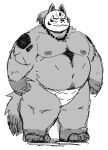  2023 anthro belly big_belly canid canine clothing hi_res kemono male mammal mask moobs nipples overweight overweight_male simple_background sketch solo underwear uokkom white_background 