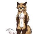  alpha_channel anthro averi_(fiddleafox) blood bodily_fluids brown_body brown_fur canid canine dipstick_tail female female_anthro fox fur gloves_(marking) green_eyes hair leg_markings looking_at_viewer mammal markings socks_(marking) solo tail tail_markings thighlordash white_body white_fur 