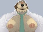  anthro big_nipples body_hair canid canine canis chest_hair clothed clothing domestic_dog eyewear glasses hi_res looking_at_viewer male mammal mature_male muscular muscular_male necktie nipple_fetish nipple_piercing nipples open_clothing open_shirt open_topwear piercing shirt smile solo taighet_28 topwear 