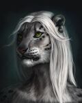  anthro artist_logo artist_name bust_portrait detailed fangs felid female front_view fur glistening glistening_eyes green_eyes grey_body grey_fur hair hi_res himeragoldtail logo long_hair mammal mouth_closed portrait red_nose simple_background solo teeth whiskers white_hair 