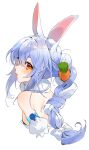  1girl animal_ear_fluff animal_ears bare_shoulders blue_hair bow braid carrot cropped_torso detached_sleeves from_behind fur_scarf gotou_(nekocat) hair_between_eyes hair_bow highres hololive light_blush long_hair looking_at_viewer multicolored_hair orange_eyes rabbit_ears rabbit_girl simple_background solo symbol-shaped_pupils tongue tongue_out twin_braids upper_body usada_pekora virtual_youtuber white_background 