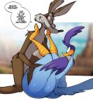  absurd_res anthro avian big_butt bird bodily_fluids brown_body brown_fur butt canid canine canis coyote cuculiform dialogue drooling duo english_text fur genitals hi_res huge_butt looney_tunes male mammal new_world_ground_cuckoo penis road_runner_(looney_tunes) roadrunner saliva saltyxodium text warner_brothers wile_e._coyote 
