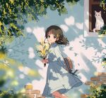  1girl aren_(fubuki-46) blue_dress bouquet brick_wall brown_hair cat collared_dress commentary_request day dress flower hat highres holding holding_clothes holding_flower holding_hat long_sleeves looking_at_viewer medium_hair mimosa_(flower) original outdoors smile solo standing tree window yellow_flower 