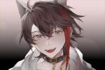  1boy animal_ear_fluff animal_ears belt_buckle black_background black_collar blue_eyes brown_hair buckle chain collar collarbone colored_eyelashes commentary dog_ears fangs gold_chain gradient_background grey_background highres hood hood_down kemonomimi_mode komatsu2536 looking_at_viewer male_focus multicolored_hair nijisanji open_mouth red_hair saegusa_akina short_hair smile streaked_hair symbol-only_commentary teeth two-tone_background upper_body upper_teeth_only white_hood 
