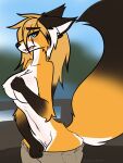  alrecsolus anthro big_breasts big_tail blush bottomwear bottomwear_down breasts canid canine clothed clothing covering covering_self female fox gynomorph hair hi_res intersex long_hair mammal mike_(twokinds) pants pants_down partially_clothed shy slim small_waist solo tail twokinds webcomic 