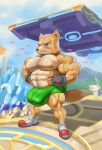  2023 abs absurd_res alien anthro anthro_focus barazoku biceps big_bulge big_muscles blush bodily_fluids body_hair bottomwear bulge canid canine chest_hair clothed clothing crystal deltoids detailed_background elemental_creature eyebrows facial_hair fingerless_gloves flora_fauna footwear fox fox_mccloud frown fur gloves guzreuef hair handwear happy_trail hi_res hotpants huge_bulge huge_muscles humanoid hyper hyper_bulge hyper_muscles male mammal manly muscular muscular_anthro muscular_male navel nintendo nipples obliques olimar outside pecs petals pikmin pikmin_(species) plant plantigrade platform pubes quads shadow shoes shorts solo solo_focus standing star_fox stomach_hair super_smash_bros. sweat topless topless_anthro topless_male triceps tuft vein veiny_muscles 