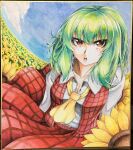  1girl 283win acrylic_paint_(medium) ascot blue_sky breasts cleavage cloud collarbone collared_shirt commentary_request field flower flower_field kazami_yuuka looking_at_viewer open_mouth outdoors painting_(medium) photo_(medium) plaid plaid_skirt plaid_vest red_eyes red_skirt red_vest shikishi shirt short_hair skirt sky solo sunflower teeth touhou traditional_media upper_teeth_only vest white_shirt yellow_ascot 