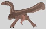  2023 animal_genitalia biped black_claws brown_body brown_feathers brown_scales claws cloaca cloacal_penis dinosaur erection feathered_dinosaur feathers feral genitals hi_res looking_back male mouth_closed nakatakoi ornithomimid penis pink_penis reptile scales scalie simple_background solo struthiomimus tail tapering_penis theropod white_background 