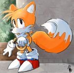  2_tails anthro belly black_eyes black_nose blush blush_lines brick_wall canid canine cheek_tuft classic_sonic_(universe) classic_tails clothing curved_tail digital_drawing_(artwork) digital_media_(artwork) dipstick_tail facial_tuft footwear forehead_tuft fox fur gloves handwear hi_res holding_object holding_ring looking_at_viewer male mammal markings miles_prower mobian_fox multi_tail multicolored_body multicolored_clothing multicolored_footwear multicolored_fur multicolored_shoes multicolored_tail open_mouth orange_body orange_fur pear-shaped_figure pillynaps plant red_clothing red_footwear red_shoes sega shoes sidewalk snout socks solo sonic_the_hedgehog_(series) standing tail tail_markings tuft two_tone_body two_tone_fur two_tone_tail wall_(structure) white_belly white_body white_chest white_clothing white_footwear white_fur white_gloves white_handwear white_inner_ear white_shoes white_snout white_socks wide_hips young 