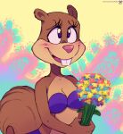  2023 anthro blush breasts brown_body brown_fur buckteeth clothed clothing eyebrows eyelashes female flower fur hi_res holding_flower holding_object mammal medium_breasts nickelodeon plant purple_eyes rodent sandy_cheeks sciurid solo spongebob_squarepants teeth tree_squirrel walliscolours 