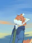  anthro blue_clothing blue_jacket blue_sky blue_topwear cheek_tuft clothed clothing dragon eyes_closed facial_tuft fur furred_dragon green_clothing green_topwear hair half-length_portrait hi_res jacket kutto kuttoyaki male mouth_closed orange_body orange_fur orange_hair orange_tail outside portrait sky solo tail topwear tuft white_body white_fur yellow_body yellow_fur yellow_tail 