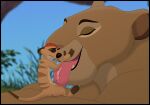  animal_genitalia balls bodily_fluids disney duo erection felid female feral fur genitals herpestid hi_res kaion licking lion male male/female mammal meerkat oral pantherine penis sarabi_(the_lion_king) size_difference the_lion_king timon tongue tongue_out young 