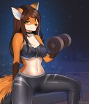  2023 black_collar bottomwear bra breasts brown_hair canid canine clothed clothing collar collar_tag countershade_face countershade_fur countershade_torso countershading cynthia_saito detailed_background digital_media_(artwork) dumbbell exercise eyebrows eyelashes female fox fur gym hair hi_res holding_dumbbell inner_ear_fluff inside long_hair looking_at_viewer mammal midriff navel orange_body orange_fur shaded sitting sports_bra tail tan_body tan_fur tekilao tuft underwear weightlifting weights white_inner_ear_fluff workout yellow_eyes 