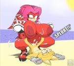 amazon_position anthro archie_comics balls beach big_breasts bodily_fluids breasts canid canine canis clothing duo echidna female footwear genitals hi_res high_heels huge_breasts lien-da male male/female mammal mklancer00 monotreme nipples penetration penis pussy seaside sega sex sonic_the_hedgehog_(archie) sonic_the_hedgehog_(comics) sonic_the_hedgehog_(series) sweat vaginal vaginal_penetration wolf 