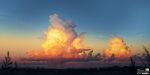  artist_logo bird blue_sky cloud dated evening gradient_sky highres no_humans orange_sky original outdoors power_lines scenery sky utility_pole yucong_tang 