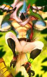  accordion alpha-thunder animal_humanoid anthro avian avian_feet avian_humanoid barazoku beak bird breath_of_the_wild bulge clothed clothing feathers grass hi_res humanoid kass_(tloz) looking_at_viewer lying male multicolored_body musical_instrument nintendo on_back outside plant rito scarf solo the_legend_of_zelda topless topless_anthro topless_male 