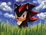  1boy 9474s0ul animal_ears animal_nose closed_mouth cloud commentary day english_commentary furry furry_male grass looking_at_viewer male_focus outdoors pokemon_art_academy red_eyes shadow_the_hedgehog signature solo sonic_(series) upper_body 