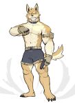  2023 anthro belt bottomwear canid claws clothed clothing collar fingerless_gloves fur gloves gun handgun handwear hi_res holding_object holding_ranged_weapon holding_weapon jrjresq looking_away male mammal muscular muscular_anthro muscular_male pistol ranged_weapon shorts simple_background solo tan_body tan_fur topless topless_anthro topless_male weapon 