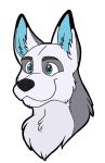  anthro black_nose blue_ears blue_eyes canid canine canis domestic_dog fluffy fur grey_body grey_fur husky icarus_fox male mammal nordic_sled_dog smile solo spitz 