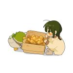  1girl bird blush_stickers box braid cardboard_box duck fuu_(ozu_(oz_yarimasu)) green_eyes green_hair guu_(ozu_(oz_yarimasu)) highres original ozu_(oz_yarimasu) potato squatting sweatdrop twin_braids white_background 