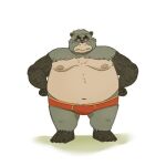  2023 anthro belly big_belly bulge canid canine clothing ghibli gonta_takagamori kemono male mammal moobs navel nipples overweight overweight_male pom_poko raccoon_dog simple_background solo tanuki tarozato underwear 