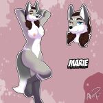  anthro axelpaws622 black_nose breasts brown_hair canid canine canis character_name facial_markings female forehead_markings fur grey_body grey_fur hair hands_behind_head head_markings heterochromia hi_res looking_at_viewer mammal marie_lefayette markings model_sheet nipples nude paws pink_background signature simple_background solo standing tail wolf 