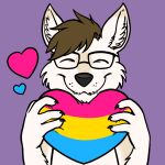  &lt;3 anthro asuune canid canine canis eyewear fluffy glasses lgbt_pride male mammal pansexual pansexual_pride_colors pride_colors sabbyth scruffy solo wolf 