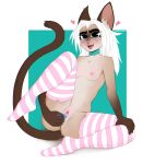  &lt;3 2022 absurd_res anthro areola big_eyes blush blush_lines breasts clothing collar digital_media_(artwork) dildo dildo_in_pussy dildo_insertion domestic_cat eve_(verycutecat) eyebrows eyelashes felid feline felis female hair hand_on_leg hi_res legwear looking_at_viewer mammal nipples penetration pink_nose sex_toy sex_toy_in_pussy sex_toy_insertion siamese simple_background sitting slim small_waist smile smiling_at_viewer solo spread_legs spreading thick_eyebrows thigh_highs tongue tongue_out vaginal vaginal_penetration verycutecat white_hair 