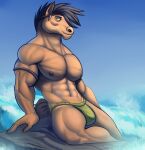 abs anthro clothing equid equine hi_res horse male mammal marsel-defender muscular muscular_anthro muscular_male nipples pecs pony solo tida underwear vein 