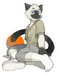  2023 anthro black_body black_fur black_tail blue_eyes bottomwear clothing domestic_cat felid feline felis footwear fur hi_res looking_at_viewer male mammal milkytiger1145 shirt shorts simple_background socks solo t-shirt tail topwear white_body white_fur 