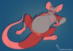  anthro breasts claws dragon embarrassed female female/female flustered frustrated genitals horn iwilldrawalmostanything mammal mouse murid murine nipples nude pregnant pregnant_female pussy red_(jackiez) rodent simple_background solo species_transformation transformation 