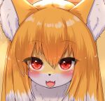  2023 anthro black_nose blonde_hair blush bodily_fluids canid canine countershading cropped cute_fangs digital_media_(artwork) eye_through_hair fangs female female_anthro fluffy fox fur hair headshot_portrait horokusa0519 inner_ear_fluff kemono long_hair looking_at_viewer mammal multicolored_body multicolored_fur multicolored_hair neck_tuft nio_(horokusa) open_mouth portrait red_eyes solo sweat sweatdrop teeth tongue translucent translucent_hair tuft two_tone_body two_tone_fur two_tone_hair white_body white_fur white_hair yellow_body yellow_fur 