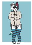  anthro bdsm blue_eyes border_collie canid canine canis chastity_belt chastity_device clothing collie domestic_dog floppy_ears footwear foxyroxford gordiethecollie herding_dog hi_res long_socks male mammal pastoral_dog restraints sheepdog socks solo straitjacket 