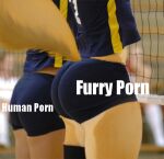  4chan anthro butt canid canine clothed clothing comparing_butts compression_shorts duo female fox fur human humanoid leg_warmers legwear mammal meme multicolored_body multicolored_fur photo_manipulation photomorph photoshop raised_clothing raised_shirt raised_tail raised_topwear shirt size_difference sport tail thick_thighs topwear two_tone_body two_tone_fur unknown_artist volleyball volleyball_uniform wide_hips 
