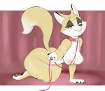  all_fours anthro beauty_mark bedroom_eyes big_breasts breasts canid canine claws female fox hi_res leash leash_and_collar mammal narrowed_eyes nipples nude offering_leash petplay pink_eyes raised_tail roleplay seductive smile solo tail thick_thighs usnarbit wide_hips 