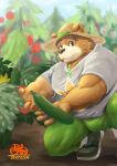  2023 anthro bear bottomwear brown_body brown_fur clothing detailed_background food fur hat headgear headwear hi_res humanoid_hands kemono lifewonders male mammal outside overweight overweight_male pants plant satoshijoga1 shirt solo tokyo_afterschool_summoners topwear vegetable volos 