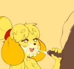  animal_crossing anthro balls blonde_hair bodily_fluids brother brother_and_sister canid canine canis cum cum_on_face cumshot digby_(animal_crossing) domestic_dog duo ejaculation erection female genital_fluids genitals hair handjob hi_res incest_(lore) isabelle_(animal_crossing) male male/female mammal multicolored_body nintendo nude open_mouth penile penis sex shih_tzu sibling sister toy_dog two_tone_body wizbird yellow_body 