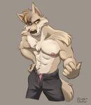  abs anthro bottomwear canid canine canis clothing drunkennoodler fur genitals hi_res male mammal muscular pants penis solo underwear wolf 
