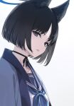  1girl animal_ear_fluff animal_ears black_eyes black_hair blue_archive blue_halo blue_sailor_collar cat_ears halo haori highres japanese_clothes kikyou_(blue_archive) looking_at_viewer neckerchief parted_lips rokuwata_tomoe sailor_collar school_uniform short_hair simple_background solo white_background 