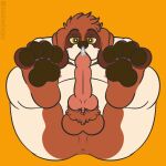  4_toes absurd_res anthro balls bappy_(bembosdoggo) belly bembosdoggo bodily_fluids brown_body brown_fur brown_pawpads canid canine canis domestic_dog erection feet foot_fetish foot_focus fur genital_fluids genitals hi_res looking_at_viewer looking_pleasured lying male mammal molosser mountain_dog nipples nude overweight overweight_male pawpads paws penis saint_bernard simple_background slightly_chubby smile solo toes white_body 