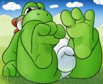  2023 3_toes anthro anus balls barefoot belly blush butt cloud dinosaur feet flaccid fol foot_focus foreskin genitals grass green_body green_scales green_yoshi hi_res humanoid_feet looking_at_viewer male mario_bros nintendo outside penis plant plantigrade reptile scales scalie simple_background sitting soles solo toes white_belly yoshi 