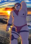  2023 anthro areola armor beach bear belly biceps biped bulge clothed clothing cloud digital_media_(artwork) epic_games eye_patch eyewear fortnite fur headgear helmet hi_res male mammal moobs navel nipples overweight overweight_anthro overweight_male partially_clothed photo_background photography_(artwork) polar_bear polar_patroller seaside sky sleepypandaburr smile solo speedo standing sun swimwear ursine water white_body white_fur 