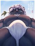  2023 abs absurd_res anthro asian_clothing bitfly black_body black_fur blue_eyes bulge bulge_focus chest_tuft clothed clothing east_asian_clothing facial_markings facial_scar fundoshi fundoshi_only fur grey_body grey_fur haiku_(poetry) hair head_markings hi_res isaku_morikaze japanese_clothing japanese_text low-angle_view male mammal markings mephitid muscular muscular_male nipples pecs scar signature skunk sky solo striped_face striped_skunk stripes text topless translated tuft twig_in_mouth underwear underwear_only white_body white_fur white_hair worm&#039;s-eye_view 