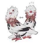  ambiguous_gender avian bird columbid feral fluffy nightcrow pigeon solo 