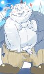  2023 anthro beard belly big_belly blush bottomwear canid canine clothed clothing dain_4201 facial_hair genitals hi_res kemono male mammal moobs navel nipples open_clothing open_shirt open_topwear overweight overweight_male pants penis shirt solo topwear 