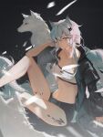  1girl animal_ears arknights bandeau bare_legs black_background black_jacket black_shorts commentary_request grey_eyes grey_hair hair_between_eyes haita_(yalan527) highres jacket knee_up lappland_(arknights) long_hair looking_at_viewer midriff navel open_clothes open_jacket oripathy_lesion_(arknights) scar scar_across_eye short_shorts shorts sitting smile solo stomach strapless thighs tube_top wolf wolf_ears 
