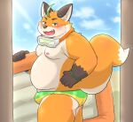  2023 anthro belly big_belly black_body black_nose blush bulge canid canine clothing cloud fox humanoid_hands iyo_(tamacolle) kemono kotadash male mammal moobs nipples orange_body outside overweight overweight_male solo swimwear tamacolle 