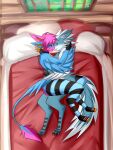  4_ears anthro avali bed biped blue_body blue_feathers blush claws clothed clothing collar cuddling digital_media_(artwork) duo feathered_wings feathers feet furniture gilbert_ashworth hair happy hi_res legwear log_cabin love male male/male mohawk multi_ear nude partially_clothed pink_body pink_feathers regedansal rogue_emberwing smile tail tail_feathers thigh_highs toes white_body white_feathers winged_arms wings 